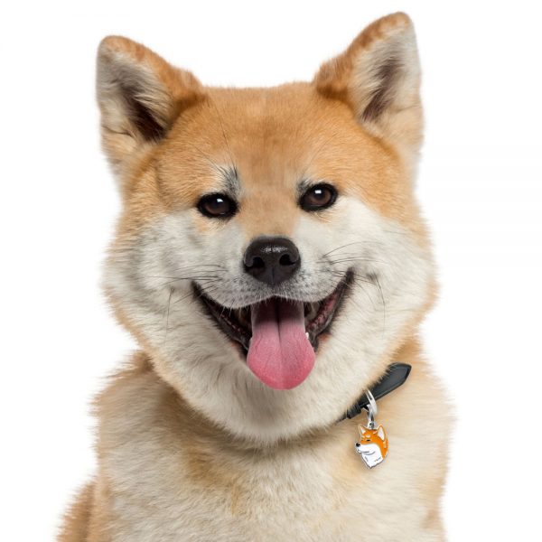 Akita-Inu-Dog-Tag-ID-DOG-IMG