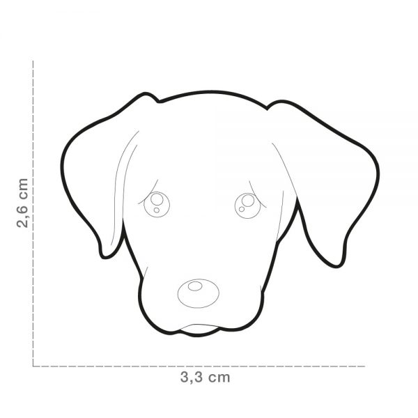Labrador-Retriever-creme-Dog-Tag-ID-Size