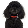 Poodle-Black-Dog-Tag-Image