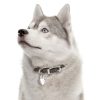 Siberian-Husky-White-and-Grey-Dog-Tag-ID-Back-Image Siberian-Husky-White-and-Grey-Dog-Tag-ID-Back-Image