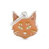 Maine-Coon-Brown-Cat-Tag-ID