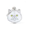 Persian-White-Cat-Tag-ID
