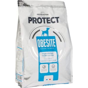 פרוטקט אובסיטי 2 ק"ג